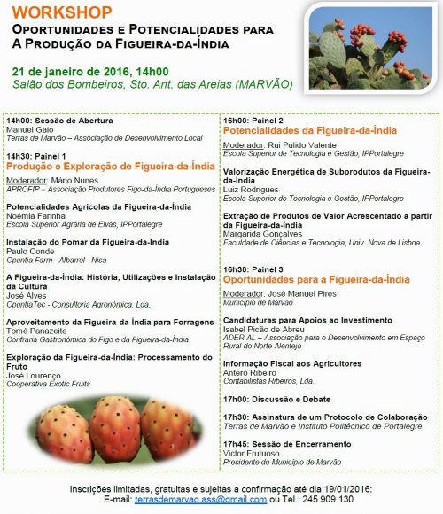 550_Workshop_Figueira_da_India_Marvao