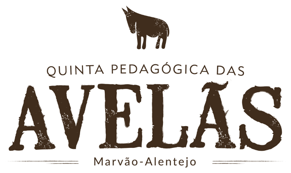 952_quinta_pedagogica_avelas