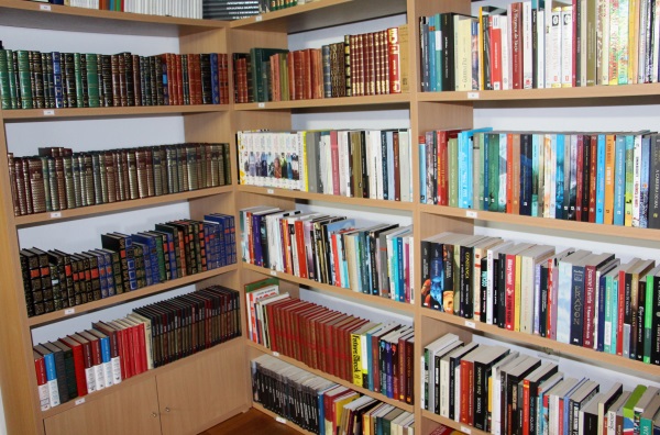 1208_estante_livros