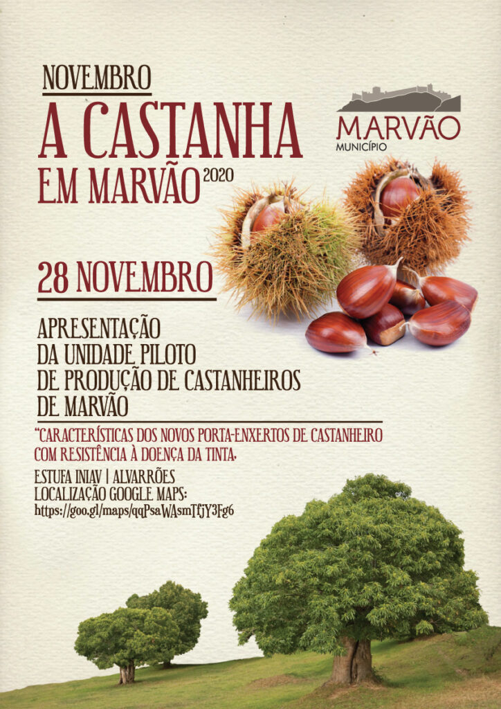 Castanha_28nov_web
