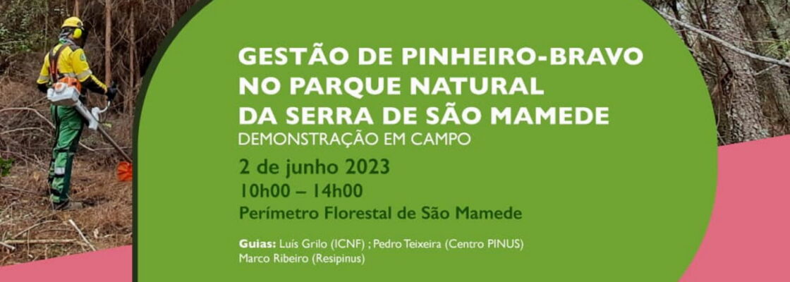 Demonstração em campo “Gestão de pinheiro bravo no Parque Natural da Serra de São Mamed...