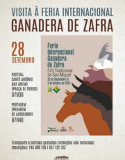 (Português) Visita à Feria Internacional Ganadera de Zafra