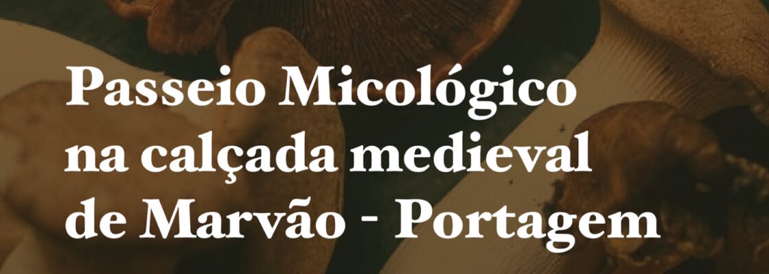 (Português) Passeio Micológico na Calçada Medieval