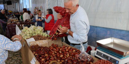 Inscrições abertas para participação na 41ª Festa do Castanheiro – Feira da Castanha