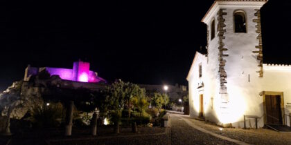Castelo iluminado de roxo para assinalar Dia Mundial da Prematuridade