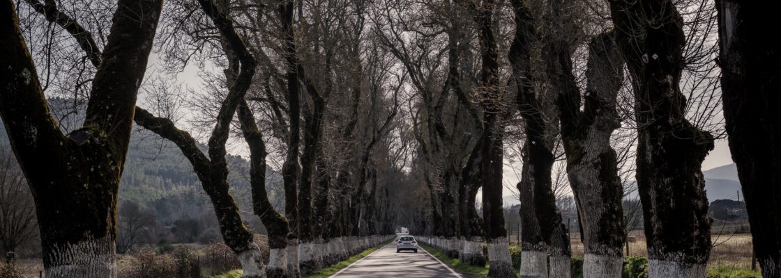 Corte de trânsito na Alameda dos Freixos nos dias 29 e 30 de abril