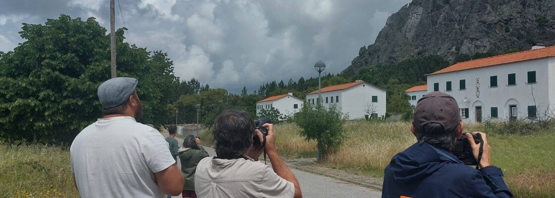 Curso de birdwatching do Turismo de Portugal com ação de formação em Marvão