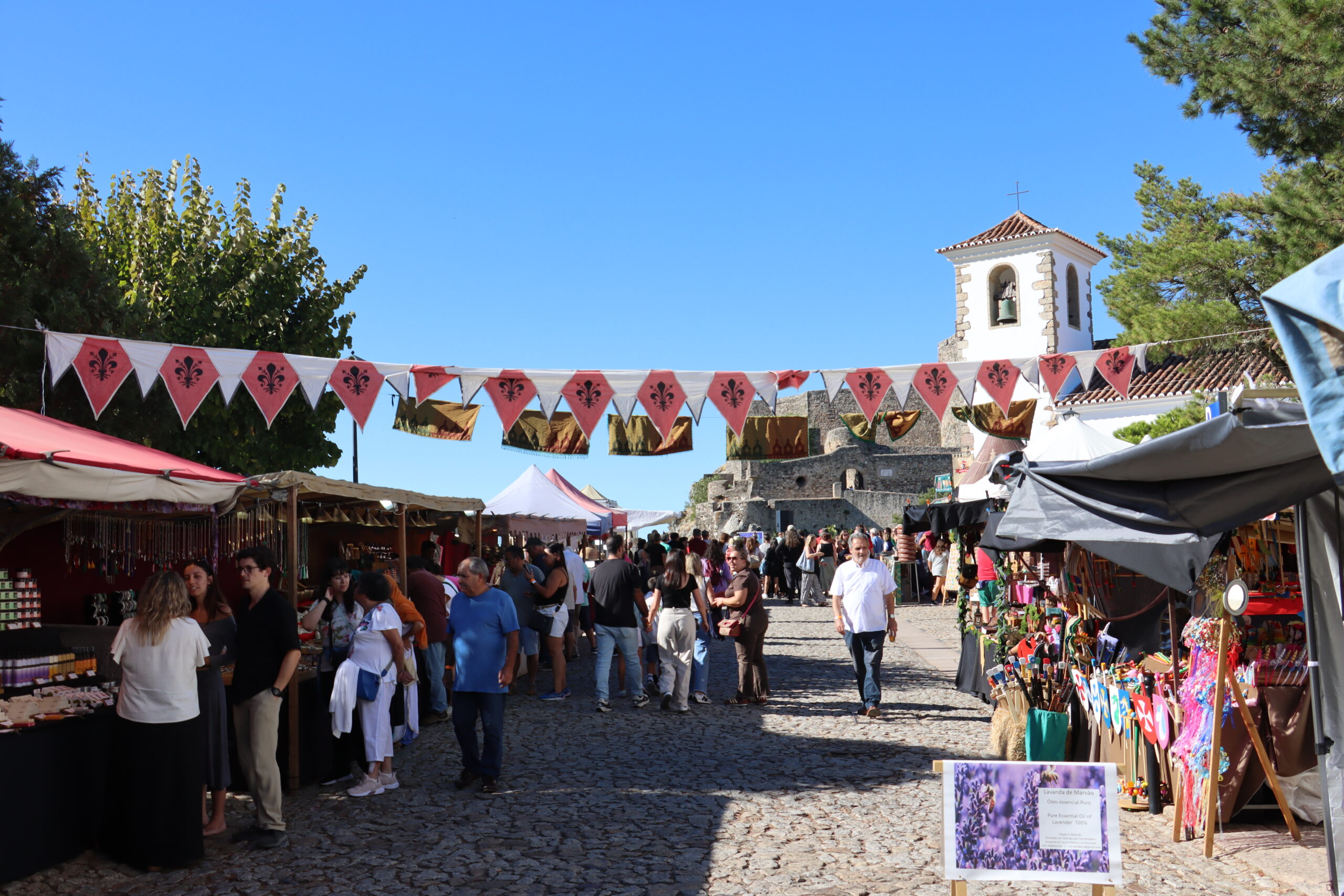 IMG_6842