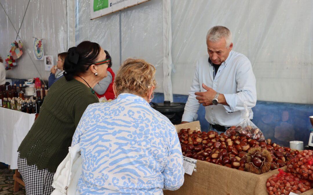 42ª Feira da Castanha – Candidaturas abertas para participação de expositores